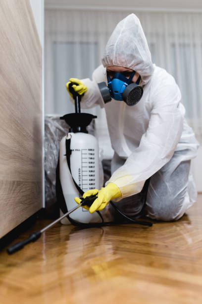 Emergency Pest Control Services in Lake In The Hills, IL